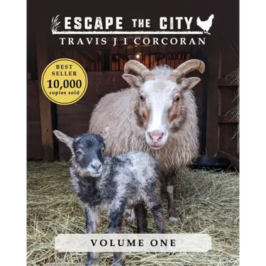 Escape the City volume 1
