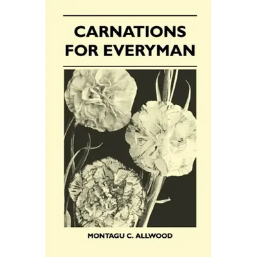 Carnations For Everyman