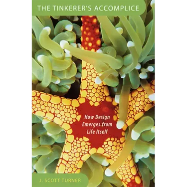 Tinkerer's Accomplice: How Design Emerges from Life Itself