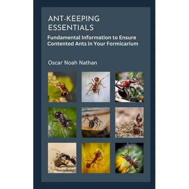 Ant-keeping Essentials: Fundamental Information to Ensure Contented Ants in Your Formicarium