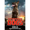 Superpower Dogs: Halo: Disaster Response Dog