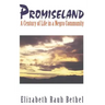 Promiseland: A Century of Life in a Negro Community