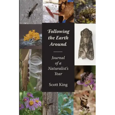 Following the Earth Around