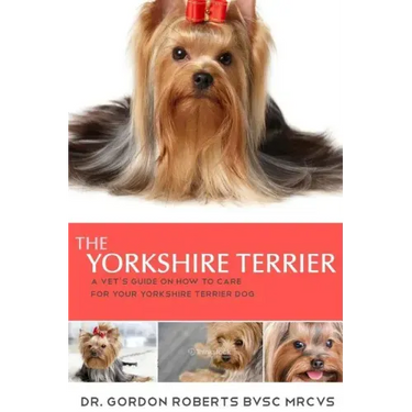 The Yorkshire Terrier: A vet's guide on how to care for your Yorkshire Terrier dog