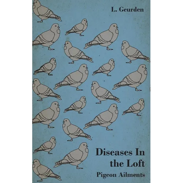 Diseases in the Loft - Pigeon Ailments