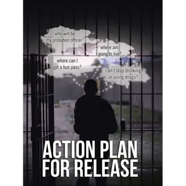 Action Plan for Release
