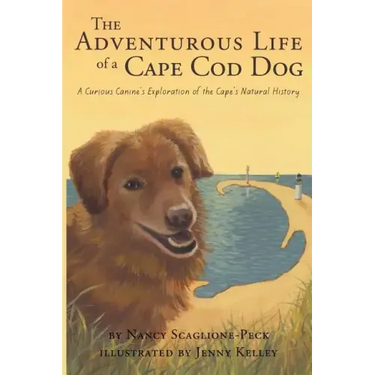 The Adventurous Life of a Cape Cod Dog: A Curious Canine's Exploration of the Cape's Natural History