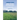 Herbicides and Plant Physiology
