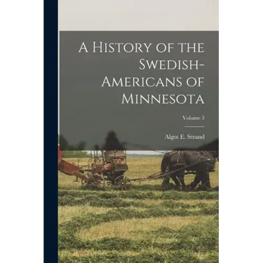 A History of the Swedish-Americans of Minnesota; Volume 3