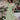 a399f2d1-d009-49a4-a857-4b10d20071d1-Max
