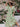 a399f2d1-d009-49a4-a857-4b10d20071d1-Max