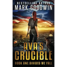 Divided We Fall: A Novel of the Coming Civil War in America