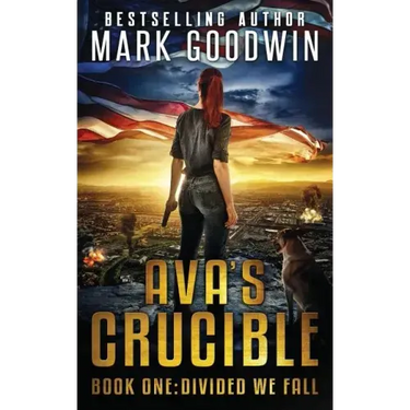 Divided We Fall: A Novel of the Coming Civil War in America