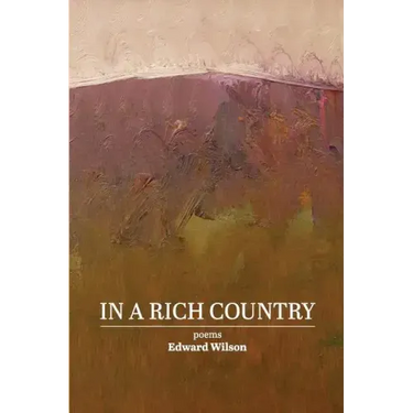 In a Rich Country: poems