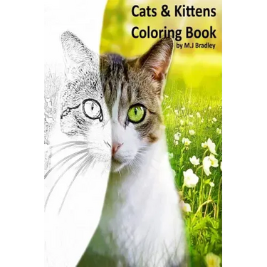 Cats & Kittens: Coloring Book