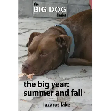 The Big Year - Summer and Fall