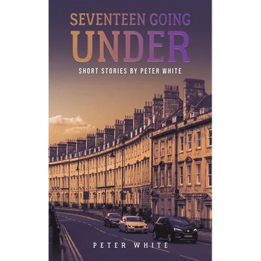 Seventeen Going Under