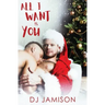 All I Want Is You: A gay holiday romance