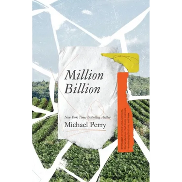 Million Billion: Brief Essays on Snow Days, Spitwads, Bad Sandwiches, Dad Socks, Hairballs, Headbanging Bird Love, and Hope.