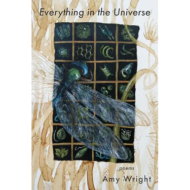 Everything in the Universe
