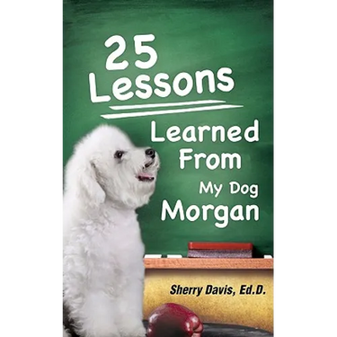 25 Lessons Learned From My Dog Morgan