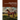 Historical Memories of American Saddlebred Visionaries