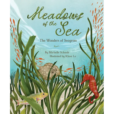 Meadows of the Sea: The Wonders of Seagrass