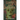Guardian of the Dark School