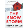 The Snowstorm: An absolutely gripping, pulse-pounding thriller packed with twists