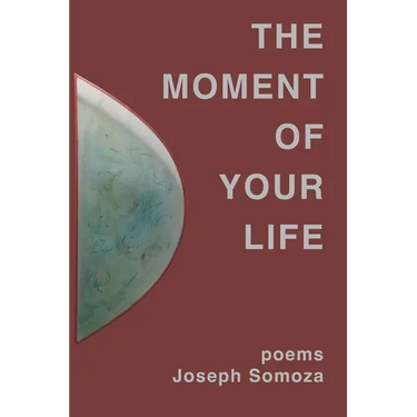 The Moment Of Your Life: poems