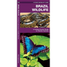 Brazil Wildlife: A Folding Pocket Guide to Familiar Animals