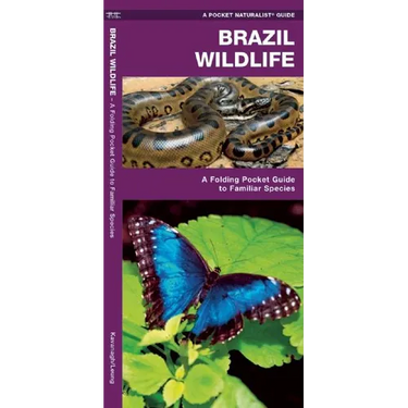 Brazil Wildlife: A Folding Pocket Guide to Familiar Animals