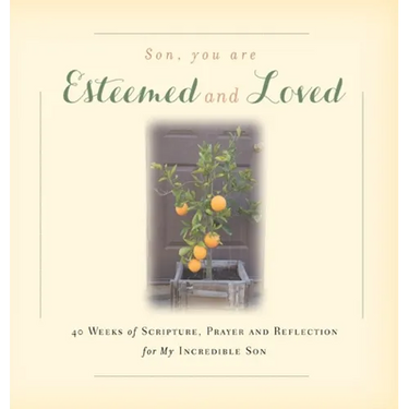 Son, You are Esteemed and Loved: 40 Weeks of Scripture, Prayer and Reflection for My Incredible Son