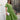 a7d19ee9-36f8-418b-9579-c3048856dfd0-Max