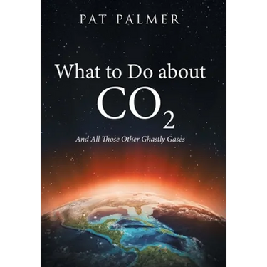 What to Do About Co2: And All Those Other Ghastly Gases