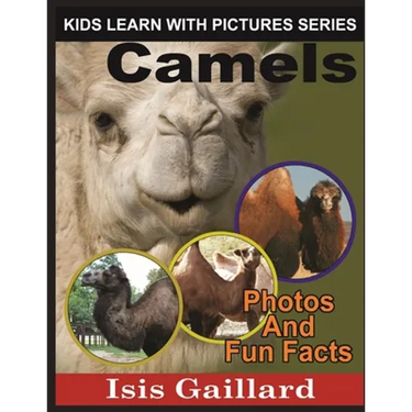 Camels: Photos and Fun Facts for Kids
