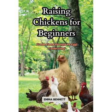 Raising Chicken for Beginners: From Coop Design to Egg Collecting