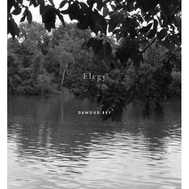 Dawoud Bey: Elegy