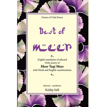 Best of Meer