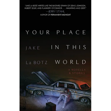 Your Place in This World: A Novella & Stories