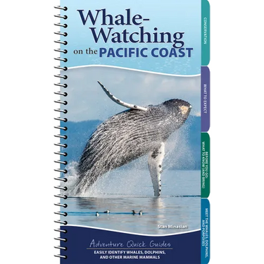 Whale-Watching on the Pacific Coast: Easily Identify Whales, Dolphins, and Other Marine Mammals