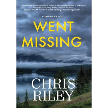 Went Missing: A Sam Nolan Novel