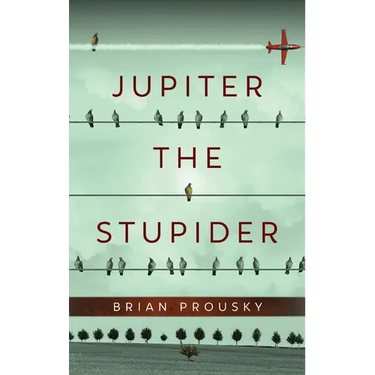 Jupiter the Stupider