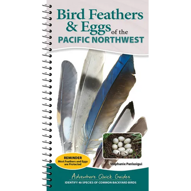 Bird Feathers & Eggs of the Pacific Northwest: Identify 40 Species of Common Backyard Birds