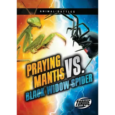 Praying Mantis vs. Black Widow Spider