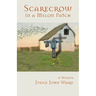 Scarecrow in a Melon Patch