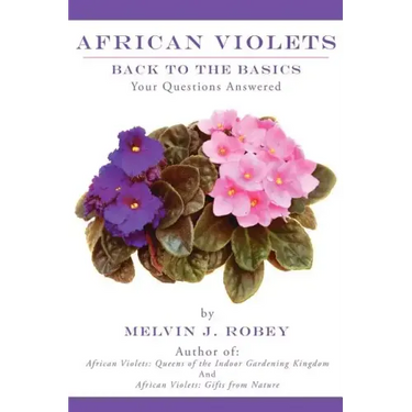 African Violets Back to the Basics: Your Questions Answered