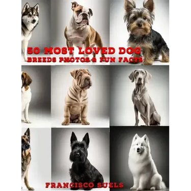 50 Most Loved Dog Breeds: Photos & Fun Facts