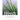 Weeds of the Midwestern United States & Central Canada