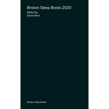 Broken Sleep Books 2020 Anthology